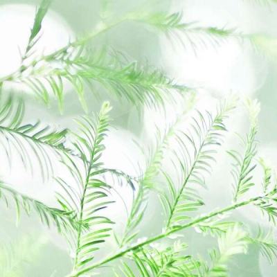 欧博体育娱乐APP/手机APP下载最新版